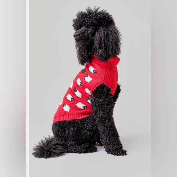 cupcake clothing ltd Other - Princess Diana dog sweater
